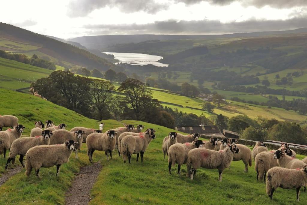 Wensleydale Halls 레이번 외부 사진